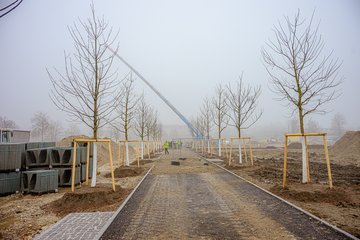 Volksgarten Neu Februar 2026